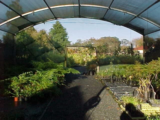 The Shade House. Cambridge Tree Trust